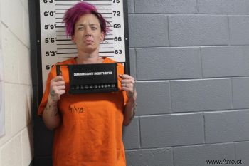 Patricia Anne Cherry Mugshot