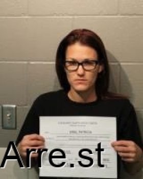 Patricia Denise King Mugshot