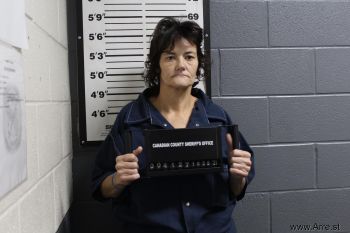 Patricia Kay Lawson Mugshot