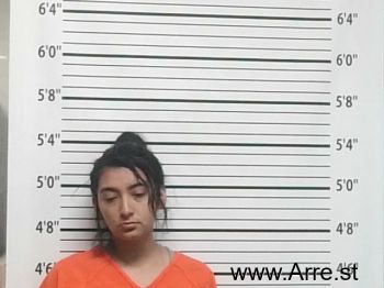 Raylynn Marie Diaz Mugshot