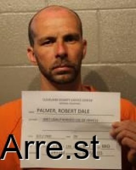 Robert Dale Palmer Mugshot