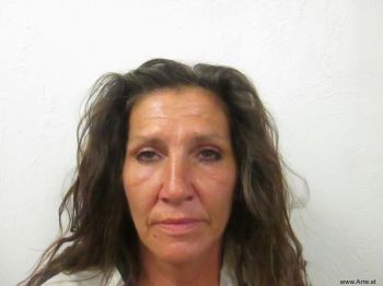 Robin Renee Ward Mugshot