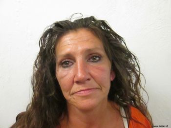 Robin Renee Ward Mugshot