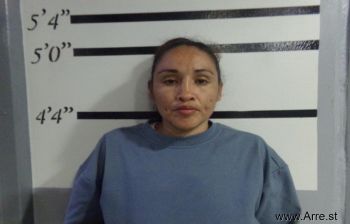 Samantha  Burris Mugshot