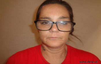 Shannon Lynn Webster Mugshot