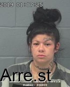 Stephanie Renee Greenspon Mugshot