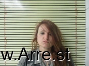 Stephanie  Lowery Mugshot