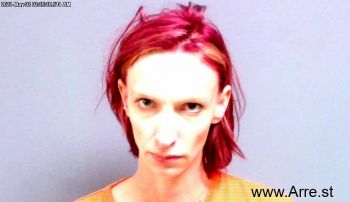 Sylvia Nicole Hunt Mugshot