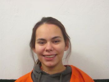 Sarah Danielle Files Mugshot