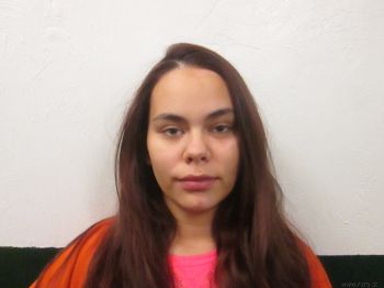 Sarah Danielle Files Mugshot