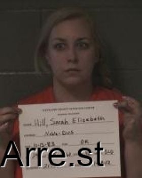 Sarah Elizebeth Hill Mugshot