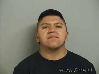 Sergio  Perez Mugshot