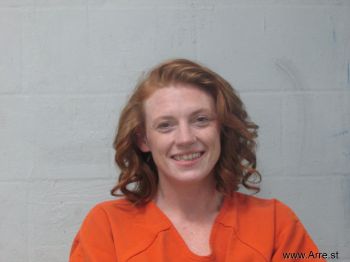 Stormie Gail Williams Mugshot