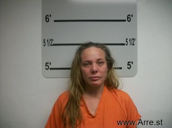 Tammy K Donohue Mugshot