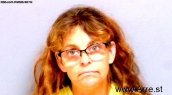 Tonya  Strider Mugshot