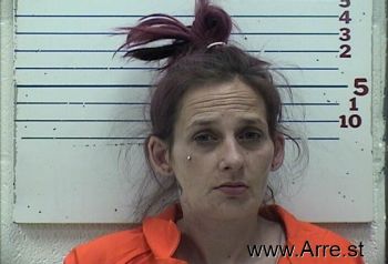 Tricia Leigh Brecheen Mugshot