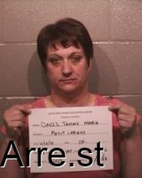 Tamara Marie Davis Mugshot