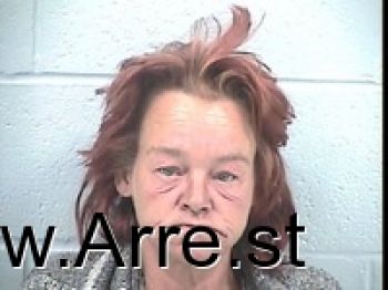 Teresa Marie Collinsworth Mugshot