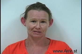 Terri Ann Martin Mugshot