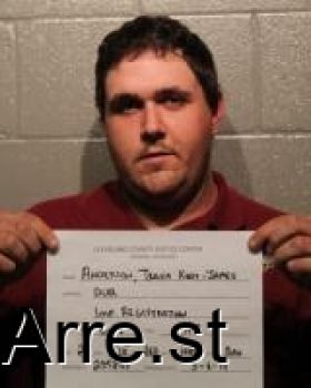 Travis Kody-james Anderson Mugshot