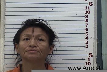 Yvonne Dawn Kopaddy Mugshot