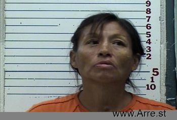 Yvonne Dawn Kopaddy Mugshot