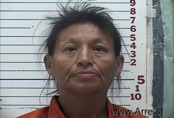 Yvonne Dawn Kopaddy Mugshot