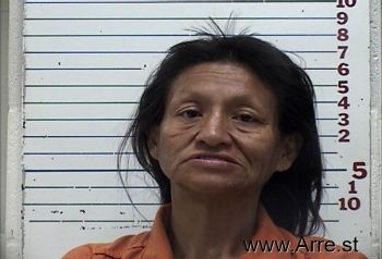 Yvonne Dawn Kopaddy Mugshot