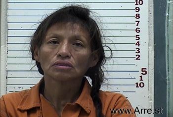 Yvonne Dawn Kopaddy Mugshot