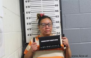 Amanda Webster Arrest Mugshot