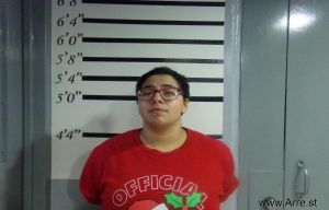 Athena Moreno Arrest Mugshot