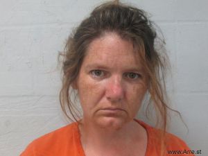 Amanda Miears Arrest Mugshot