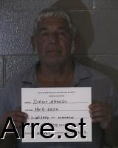 Arnoldo Deleon Arrest