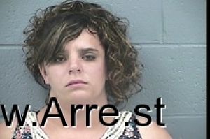Ashley Mariezcurrena Arrest Mugshot