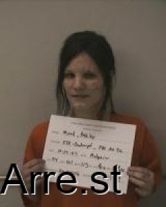 Ashley Mead Arrest