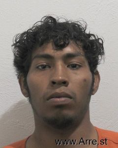 Carlos Arenilla Arrest Mugshot