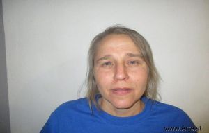 Cynthia Farmer Arrest Mugshot