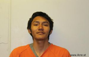 Carlos Jr Chavez Arrest Mugshot