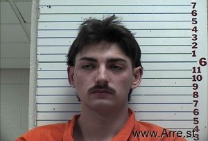 Dylan  Turner Arrest Mugshot