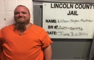 Dylan Wilson Arrest Mugshot