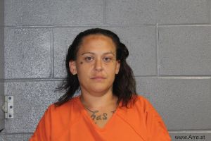 Dani Porterfield Arrest Mugshot