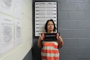 Darith Galindo Arrest