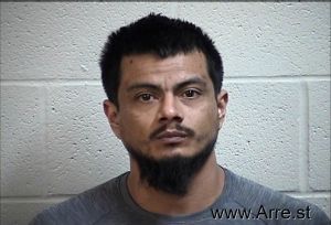 Evodeo Venegas-hernandez Jr Arrest Mugshot