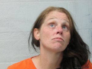 Emily Thompson Arrest Mugshot