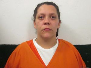 Erika Rankin Arrest Mugshot