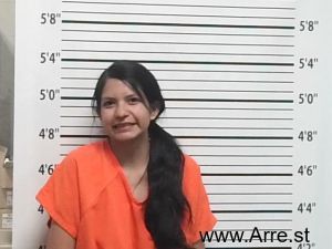 Gayla Hugar Arrest Mugshot