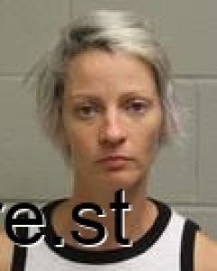 Heather Drake Arrest Mugshot