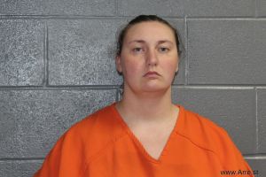 Heather Stehle Arrest Mugshot