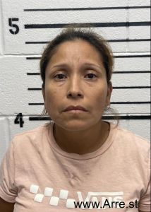 Isabel Garcia Arrest Mugshot