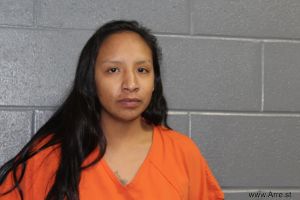 Jasmine Blackowl Fairless Arrest